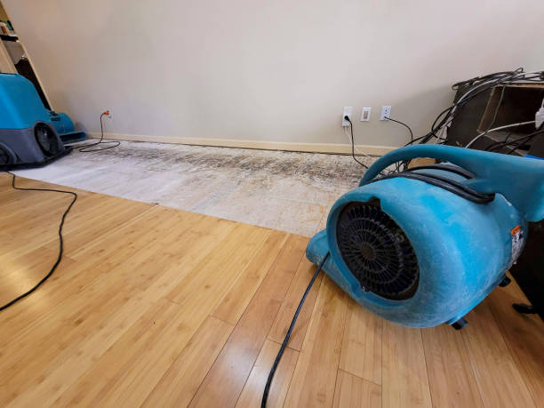 Reliable Basement Flood Cleanup contractor in Jefferson City, MO by Hirex Water Damage