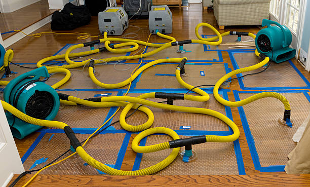 Professional Basement Flood Cleanup technician working in Jefferson City, MO
